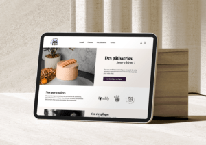 webdesign-douceurs-laponie